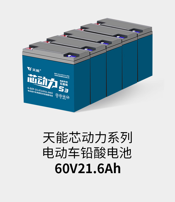 9999js金沙老品牌_金沙检测线路js69电池60v20ah