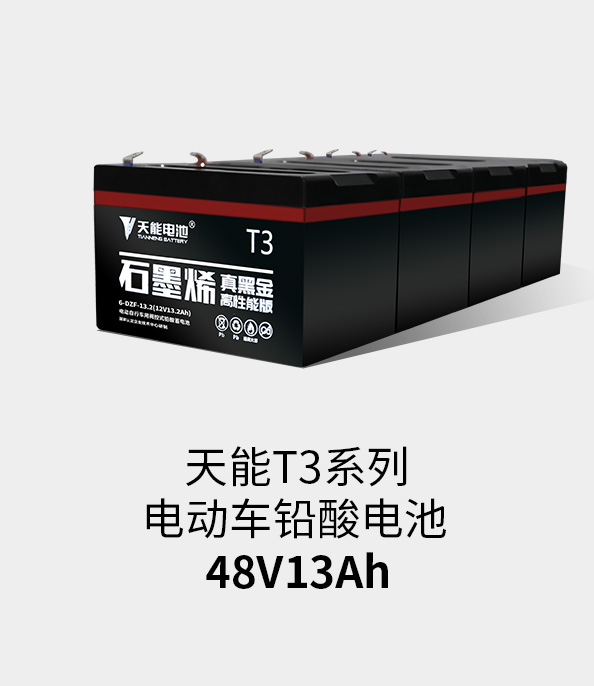 9999js金沙老品牌_金沙检测线路js69T3系列48v13ah