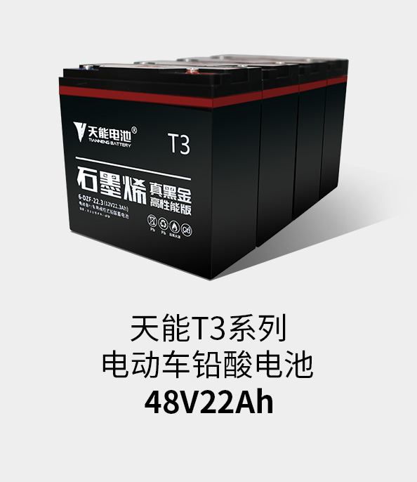 9999js金沙老品牌_金沙检测线路js69T3系列48v22ah